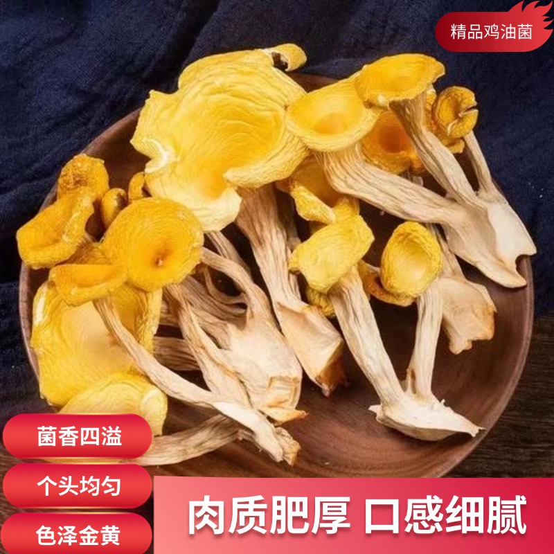 麦浇芽鸡油菌5斤/箱鸡蛋黄菌杏菌黄金菇云南黄丝菌子干菌子煲汤食材