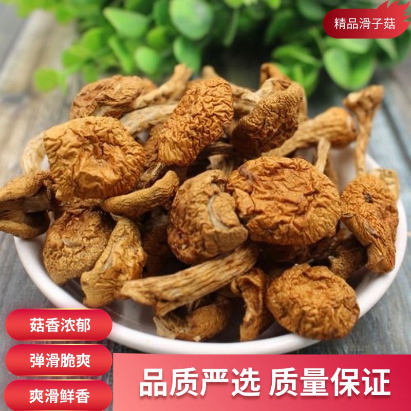 麦浇芽滑子菇5斤珍珠菇滑菇滑子蘑小黄菇干菌子