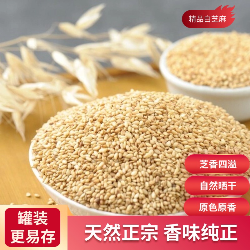 麦浇芽白芝麻仁胡麻脂麻油麻乌麻交麻小胡麻食堂调味料香料300g