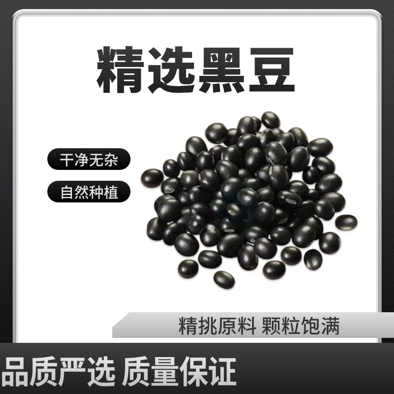 麦浇芽黑豆乌豆枝仔豆黑大豆黑豆豆浆粗粮五谷杂粮包邮1000g