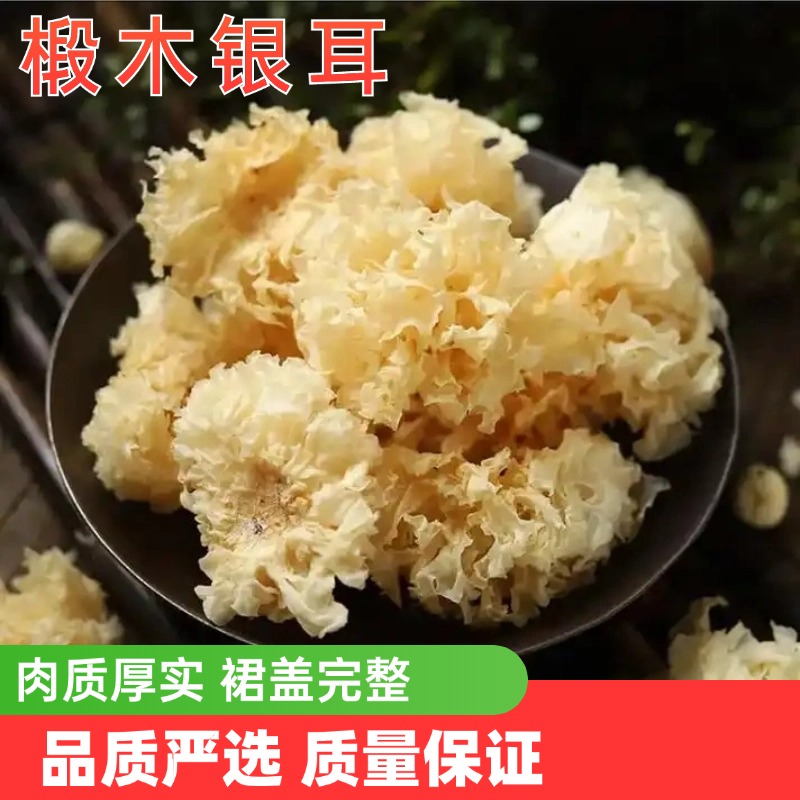 麦浇芽椴木银耳雪耳银耳子白耳子白耳干菌子包邮100g