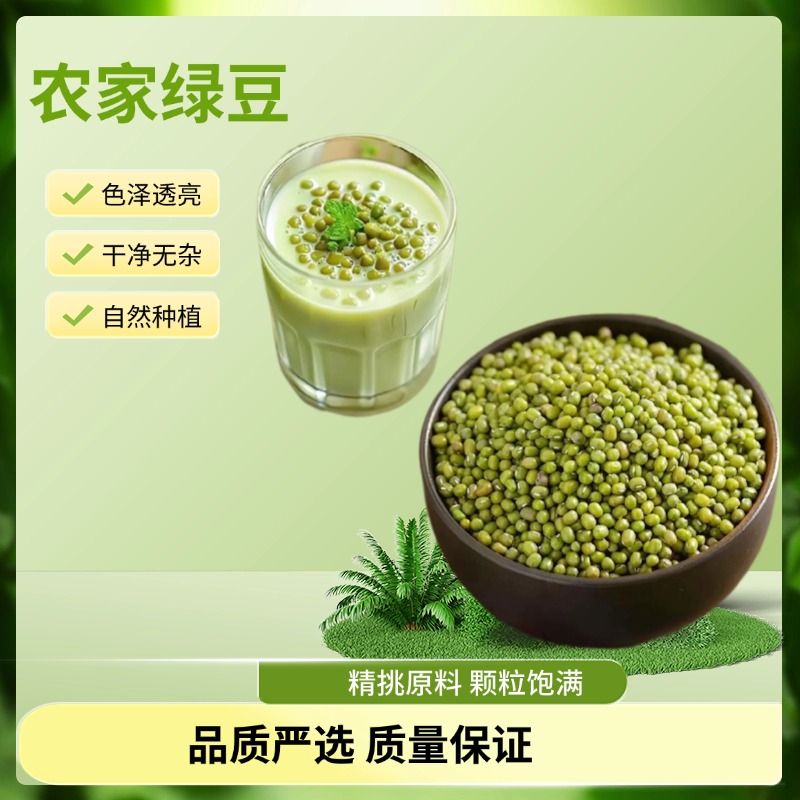 麦浇芽绿豆青小豆菉豆植豆小绿豆发豆芽五谷杂粮包邮1000g