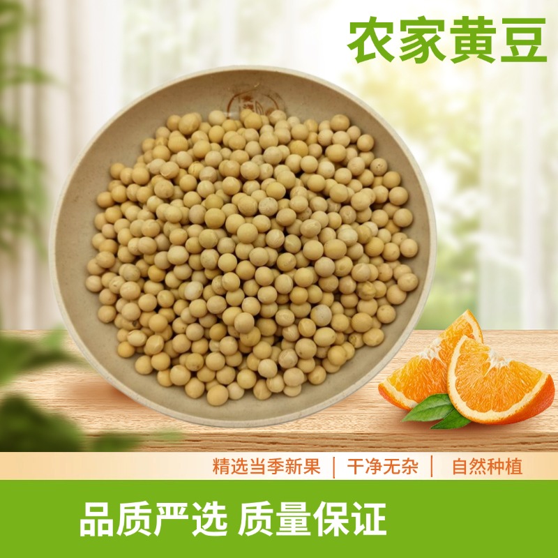 麦浇芽黄豆毛豆菽大豆生豆芽豆浆粗粮五谷杂粮包邮750g