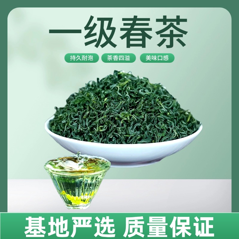 麦浇芽2025新茶商南高山绿茶一级春茶100g